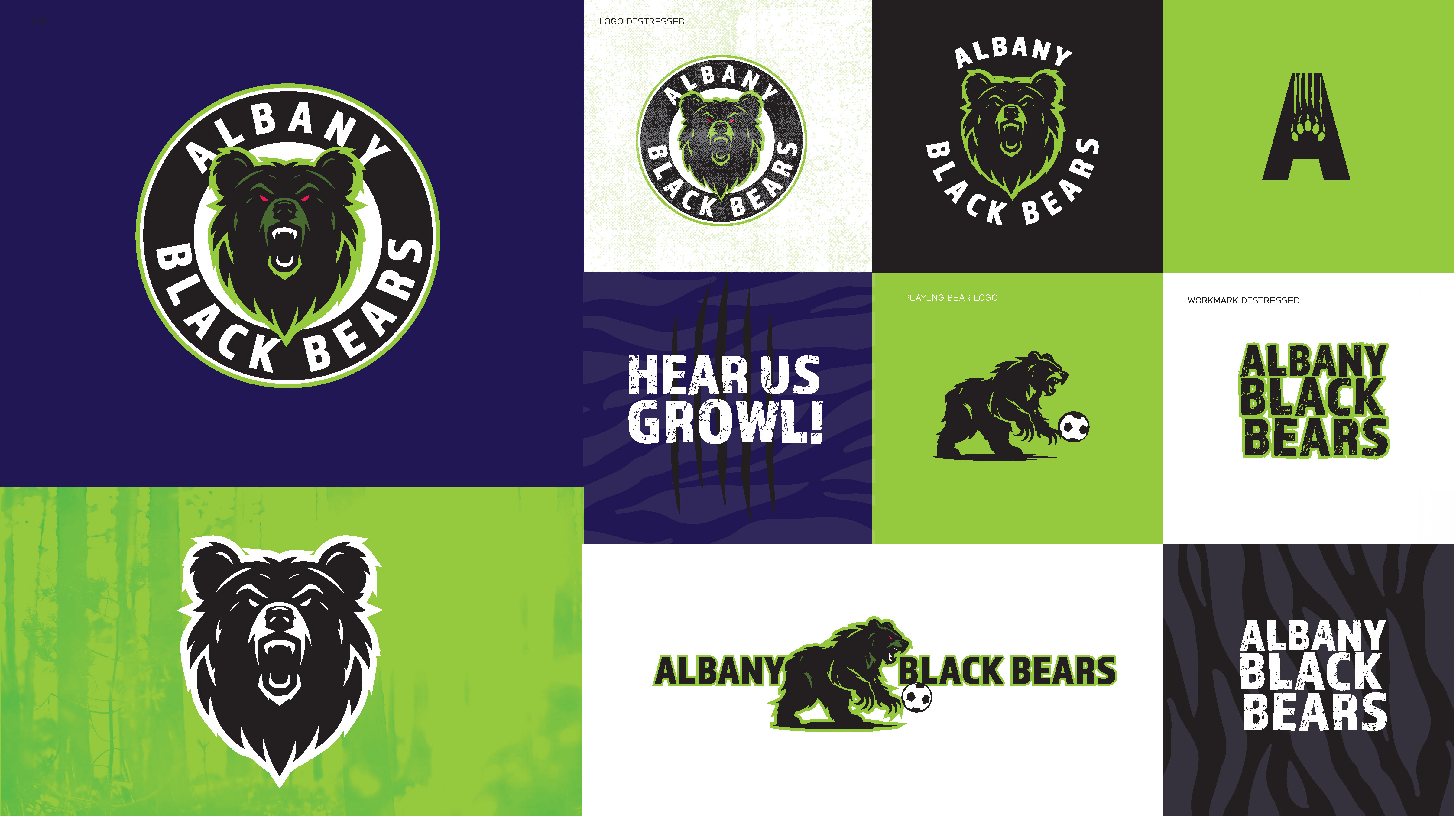 Albany Black Bears masterset