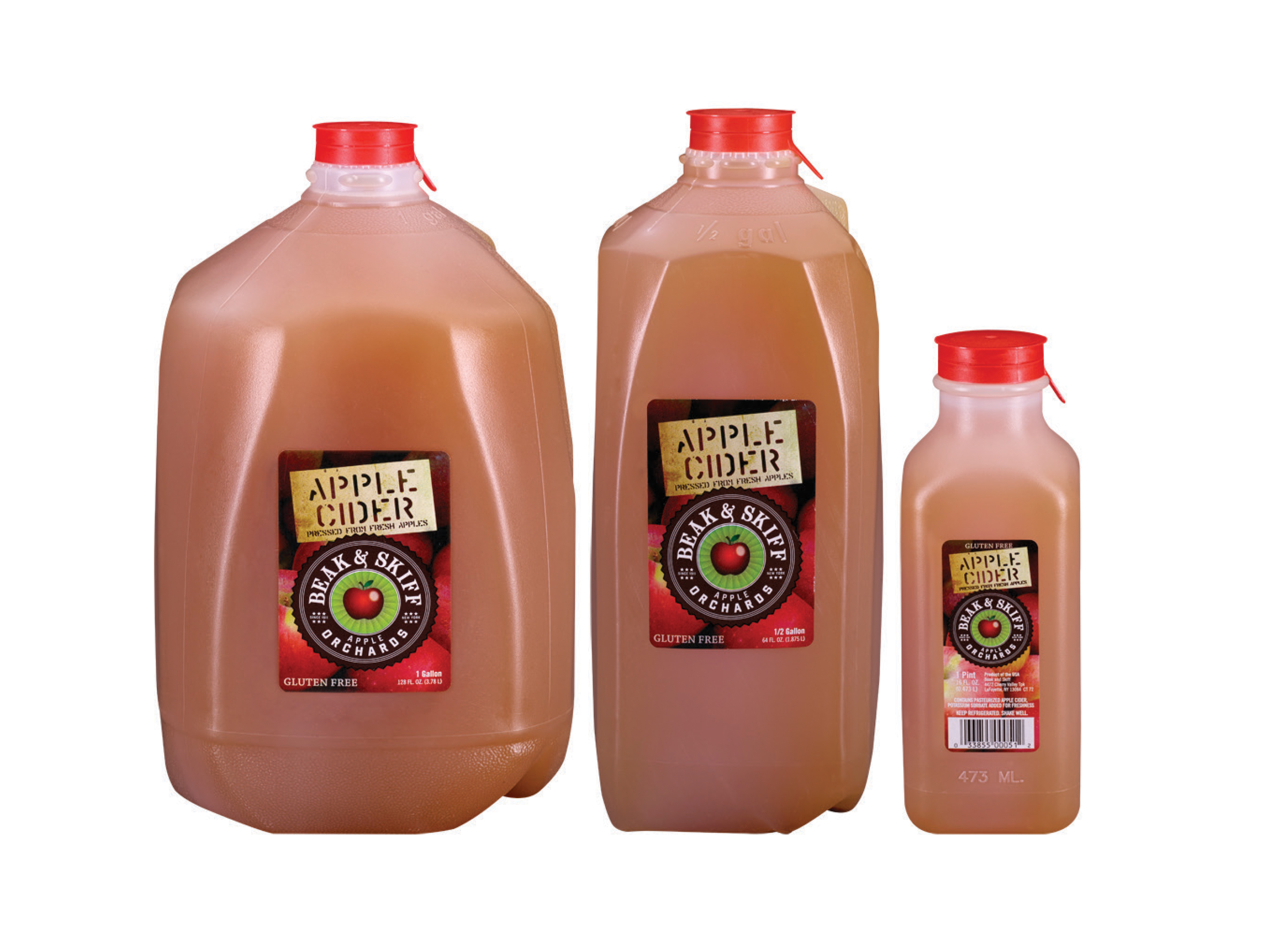 Beak and Skiff Layer 8